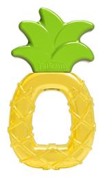 Dr. Brown's Μασητικό Οδοντοφυΐας με Νερό για 3 m+ - Dr Browns