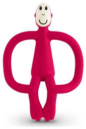 Μασητικό Οδοντοφυΐας για 3 m+ Matchstick Monkey