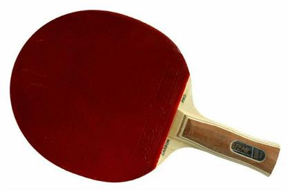 ProLine 3000 Ρακέτα Ping Pong για Παίκτες Αγωνιστικού Επιπέδου Atemi