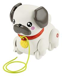 Σκυλάκι Pug για 12+ Μηνών Fisher Price
