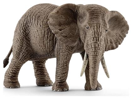 Schleich-S Παιχνίδι Μινιατούρα Wild Life African Elephant Female για 3+ Ετών - Schleich S