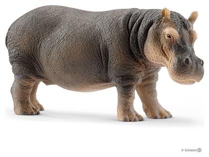 Schleich-S Παιχνίδι Μινιατούρα Wild Life Hippopotamus για 3+ Ετών - Schleich S από το GreekBooks