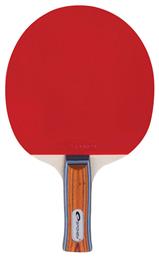 Exercise Ρακέτα Ping Pong για Αρχάριους Παίκτες Spokey